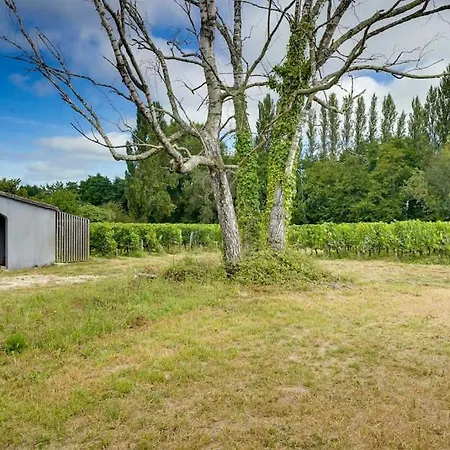 Vakantiehuis Maison Neuve A Proximite Immediate De St Emilion